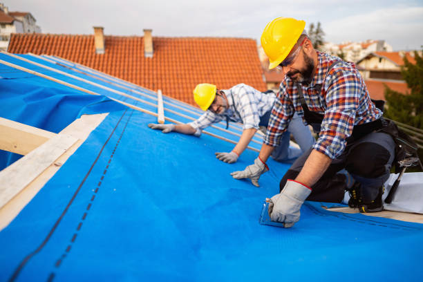 Gutter Replacement in Newnan, GA